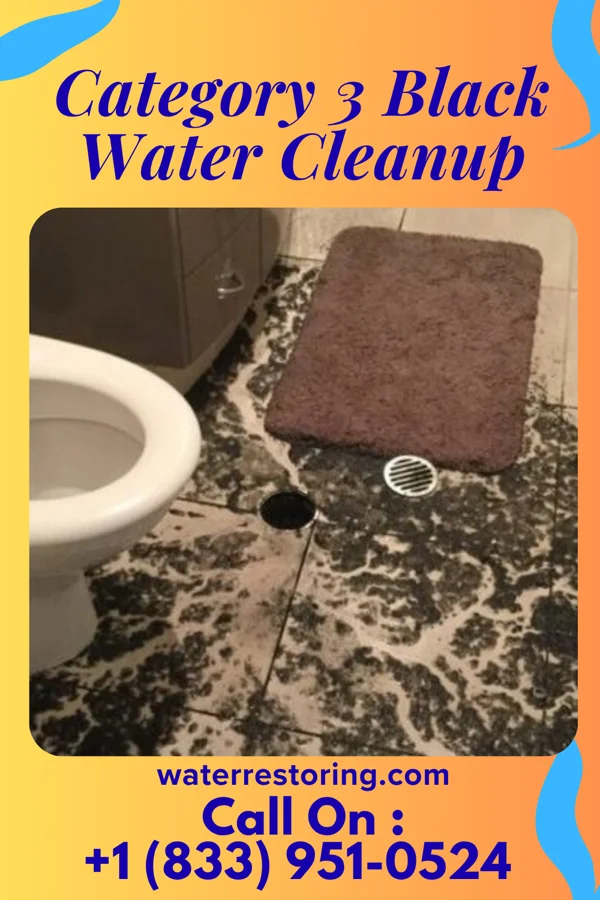 Category 3 Black Water Cleanup in Millington, MI