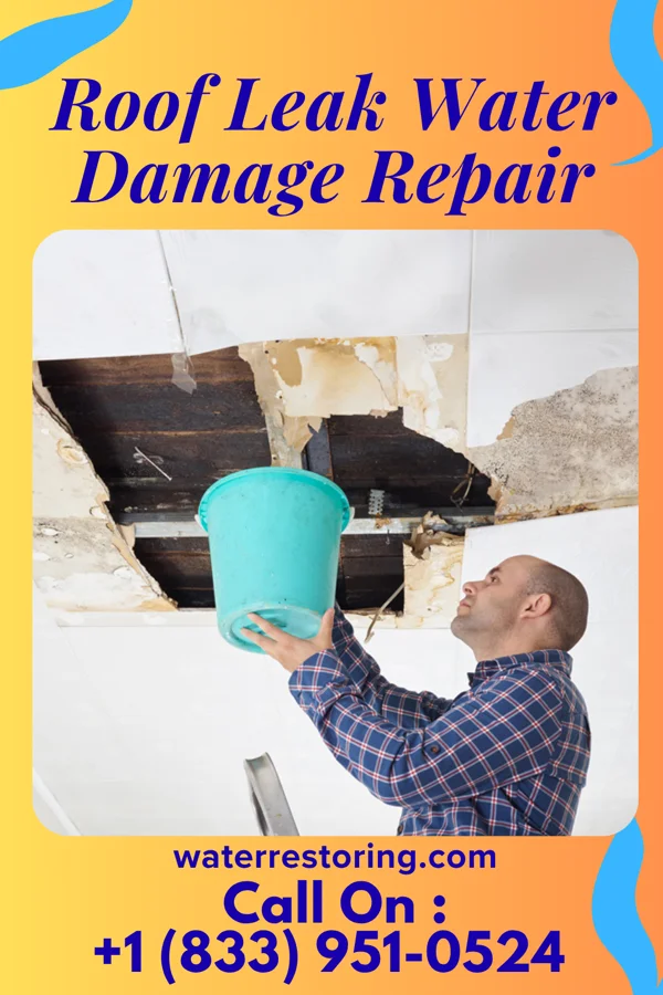 Roof Leak Water Damage Repair in Millington, MI